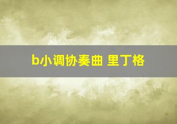 b小调协奏曲 里丁格